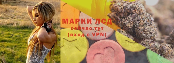 крисы Аркадак