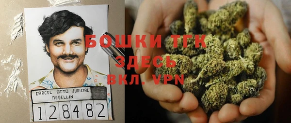 крисы Аркадак