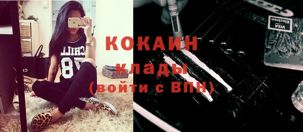 крисы Аркадак