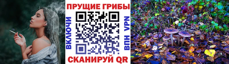 Галлюциногенные грибы мицелий Байкальск